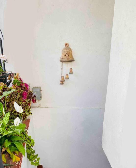 Appartamento Bonito Y Comodo Departamento En Taxco! Esterno foto